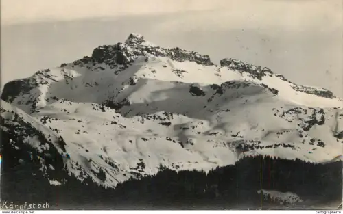 A5975 Karpfstock
