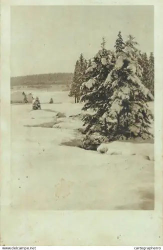 A5974 German Feldpost (field post) postcard sent during World War II winter landscape photographic postcard