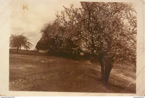 A5974 Kammersolden, located near Altenthann