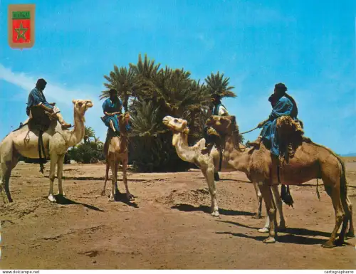 A5570 Morocco Caravane des Meharistes de M'Hamid