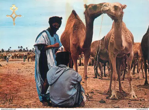 A5570 Morocco blue men at the Assrir Moussem ethnic types and scenes
