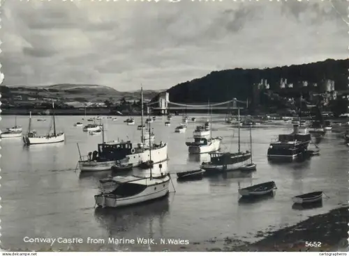 A5568 Wales Conway Castle harbour view sailing boats