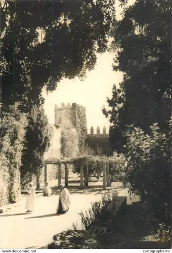 A5568 Morocco Rabat Jardins des Oudayas