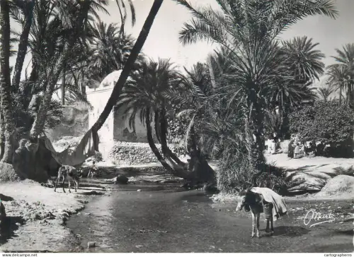 A5568 Morocco Fez oasis de Sidi Harazern