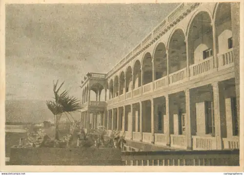 A5565 Russia Moscow Northern River Station palm trees detail view