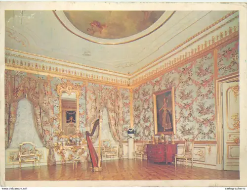 A5553 Russia St Petersburg Petrodvorets The Great Palace Partridge Room