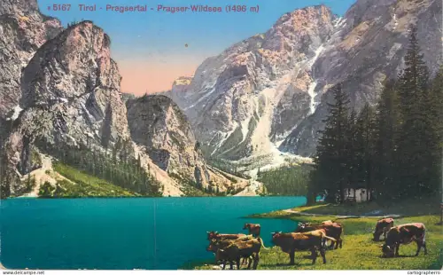 A6057 Tirol Pragsertal Wildsee