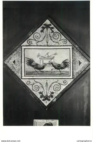 A5973 Napoli (Naples) combattimento di gulletti mosaico di Pompei