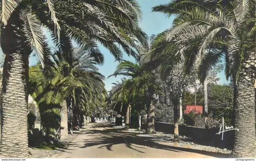 A5973 Sanary-sur-Mer CPSM