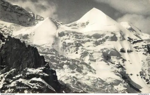 A5973 Silberhorn