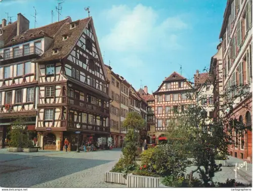 A5592 France Strabourg Bas Rhin Place du Marche aux Cochons au lait