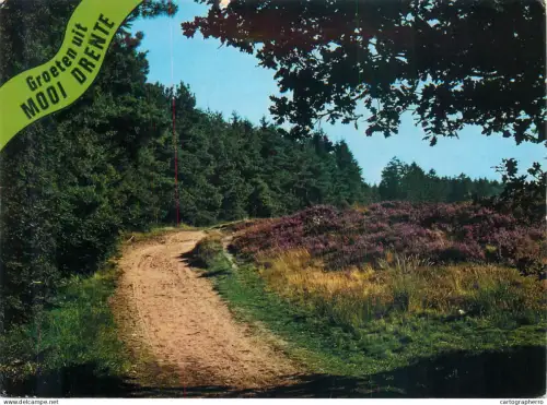 A5581 Netherlands Groeten uit Drenthe rural area forest road