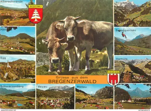 A5577 Austria Grusse aus dem Bregenzerwald different aspects
