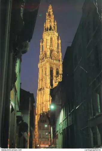 A5595 Belgium Antwerpen O.L Vrouwekathedral bei Nacht