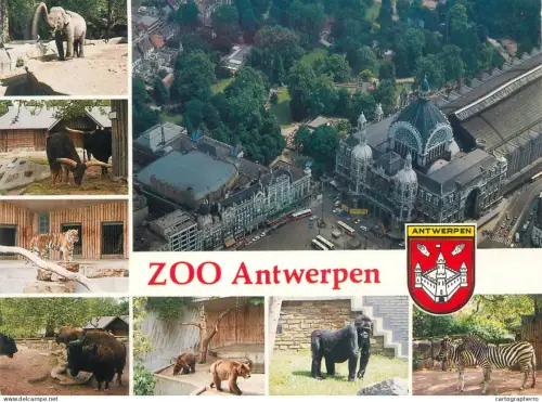 A5595 Belgium Antwerpen Zoo several views animal types and scenes