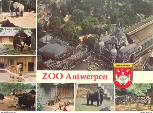 A5595 Belgium Antwerpen Zoo multi view animal types and scenes