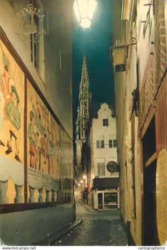 A5595 Belgium Bruxelles Petite Rue des Bouchers Tour de l'Hotel de Ville vue nocturne