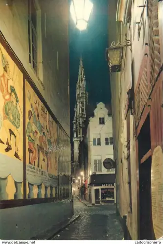 A5595 Belgium Bruxelles Petite Rue des Bouchers Tour de l'Hotel de Ville vue de nuit