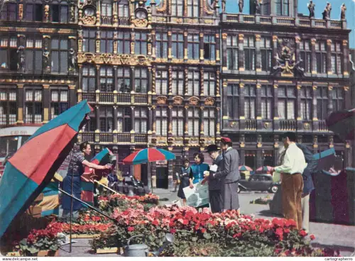 A5594 Belgium Bruxelles La Grand Place