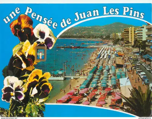 A5594 France Juan les Pins multi view and floral motif souvenir