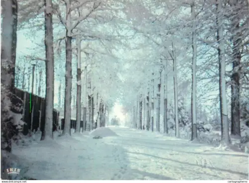 A5607 Wuustwezel winter scenery