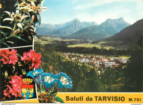 A5606 Italy Tarvisio panoramic view