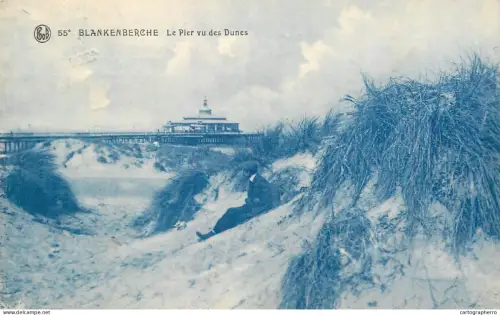 A6072 Belgium > West Flanders > Blankenberge pier vu des dunes
