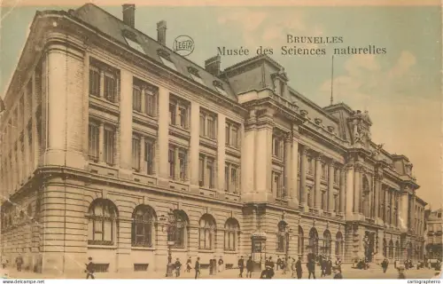 A6071 Belgium > Brussels > Museums musee des sciences naturelles