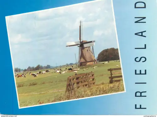 A5640 Netherlands Mooi Friesland rural area molen and cows