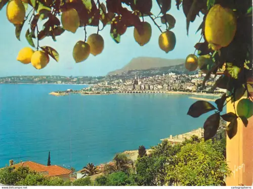 A5622 France Menton Cote d'Azur vue generale