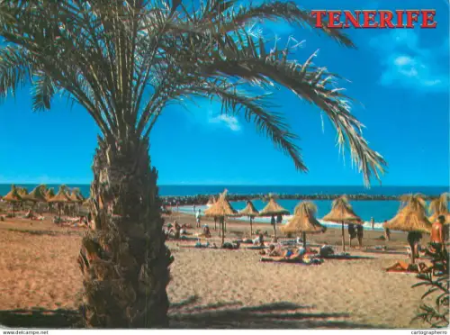 A5651 Spain Tenerife Playa de Las Americas