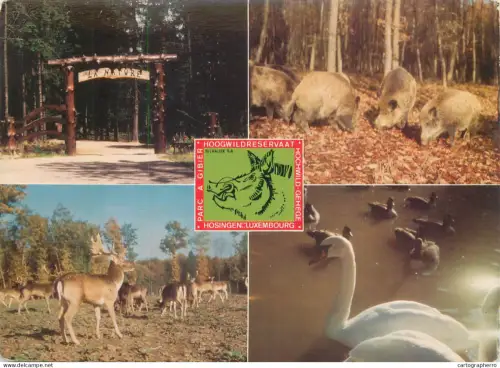 A5642 Luxembourg Hosingen wildlife multi view