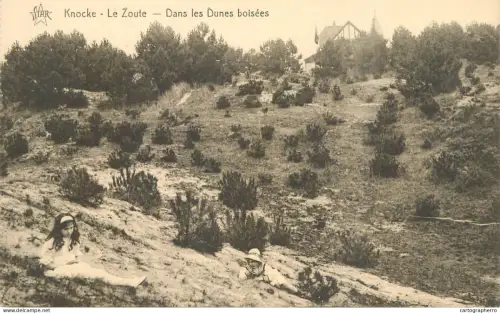 A6075 Knokke Zoute dunes boisees