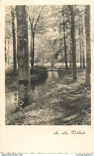 A5684 Austria Waldbach forest scenery rustic bridge