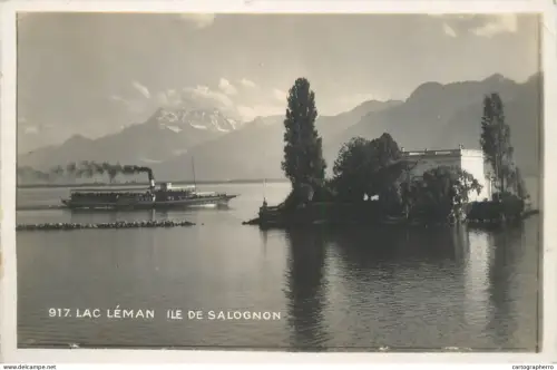 A5682 Switzerland Lac Leman Ile de Salognon