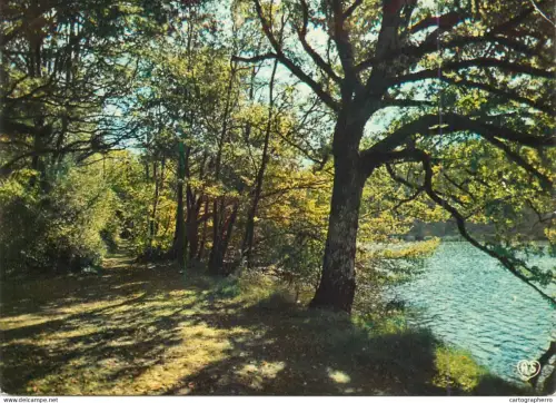 A5679 France foret et riviere paysage naturel pittoresque