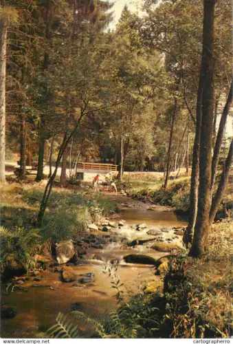 A5679 France Morvan touristique les du Vignan forest scenery
