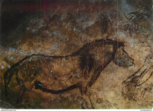 A5678 France Grotte de Niaux (Ariege) Cheval du "Salon Noir" peinture au trait noir