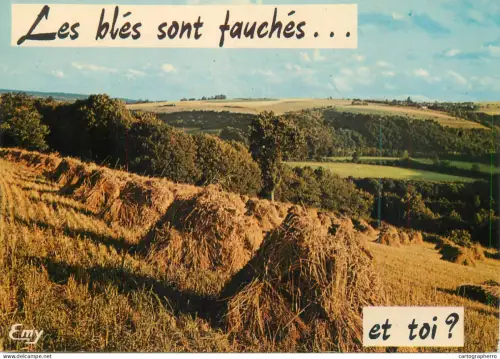 A5678 France wheat harvest agriculture rural scenery