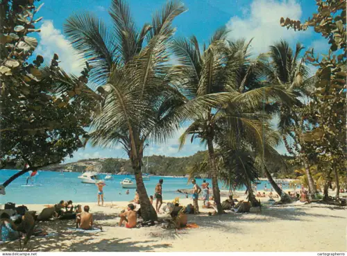A5678 France Guadeloupe under palm trees exotic beach littoral types and scenes