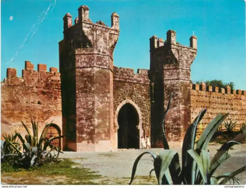 A5676 Africa Morocco Rabat Chellah Gate