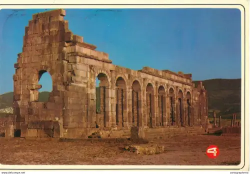 A5676 Africa Morocco Volubilis ruins historical landmark