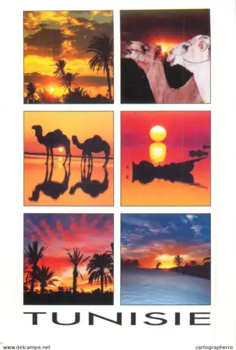 A5676 Africa Tunisia sunset multi view