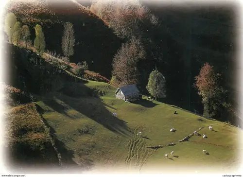 A5674 France Pyrenees paysage de montagne