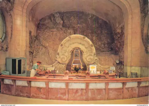 A5674 France Vichy  (Allier) Source des Celestins