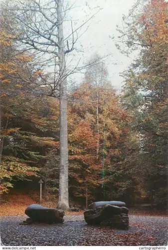 A5657 Belgium Tervueren het park autumn colours