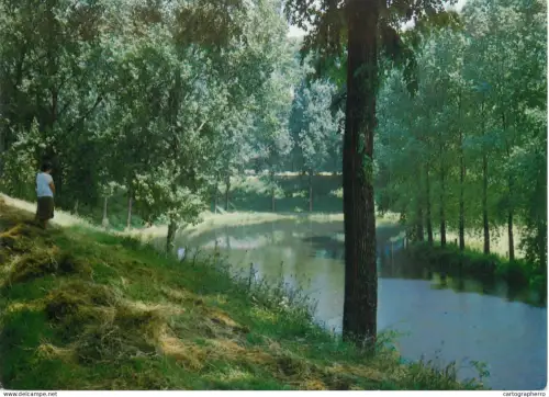 A5656 Netherlands Hulst Wallen forest picturesque natural landscape