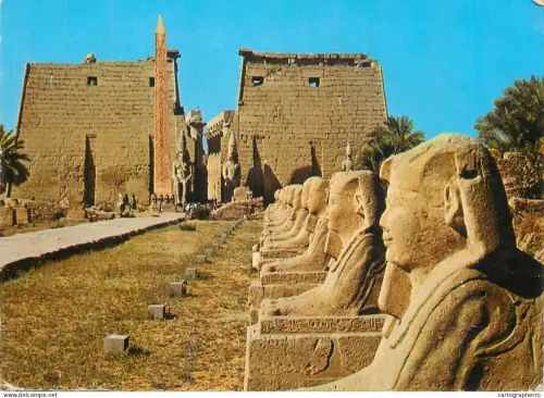 A5693 Egypt Luxor Temple Sphinxes Avenue