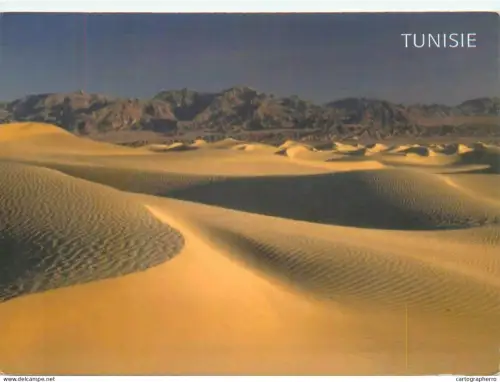 A5693 Tunisia Sahara