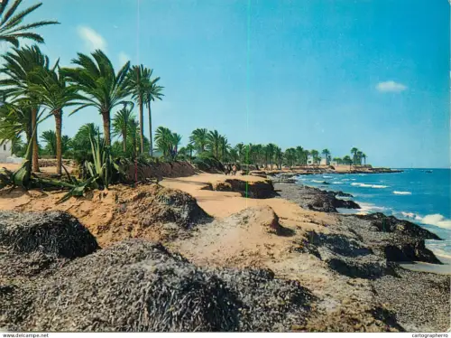A5687 Tunisia Djerba beach view